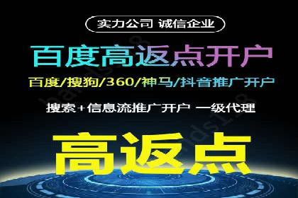 提升网站流量与转化率的关键——关键词竞价排名案例